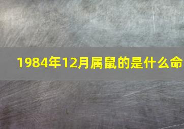 1984年12月属鼠的是什么命