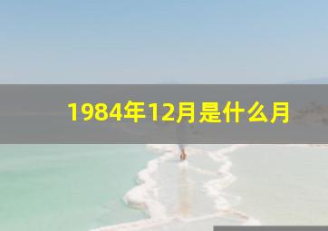 1984年12月是什么月