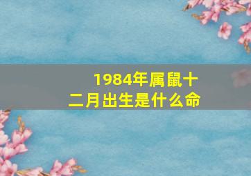 1984年属鼠十二月出生是什么命