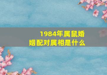 1984年属鼠婚姻配对属相是什么