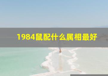 1984鼠配什么属相最好