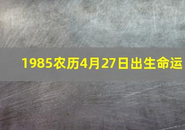 1985农历4月27日出生命运