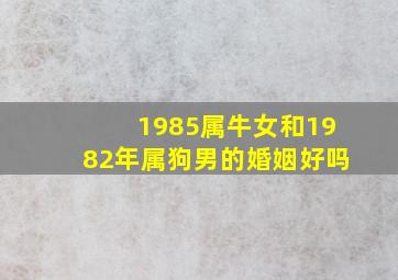 1985属牛女和1982年属狗男的婚姻好吗