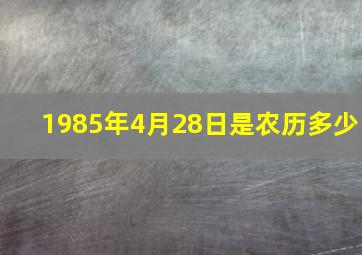 1985年4月28日是农历多少