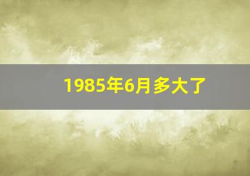 1985年6月多大了