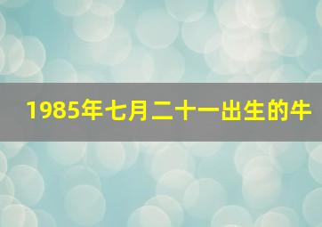 1985年七月二十一出生的牛