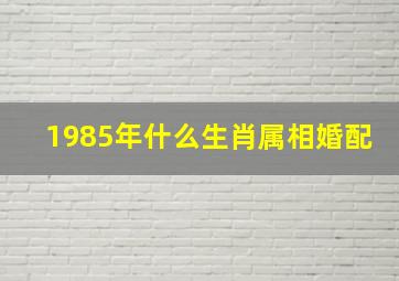 1985年什么生肖属相婚配