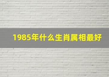 1985年什么生肖属相最好