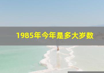 1985年今年是多大岁数