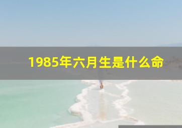 1985年六月生是什么命