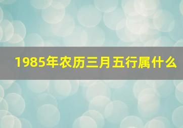 1985年农历三月五行属什么