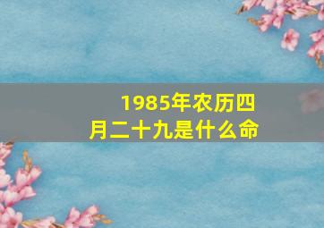 1985年农历四月二十九是什么命