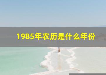 1985年农历是什么年份