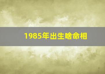 1985年出生啥命相