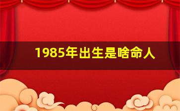 1985年出生是啥命人