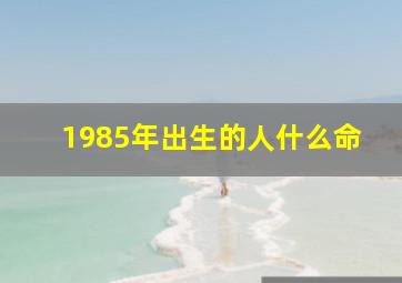 1985年出生的人什么命