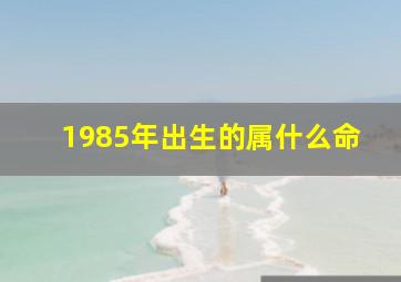 1985年出生的属什么命