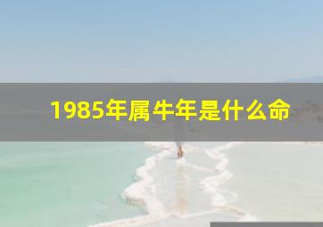 1985年属牛年是什么命