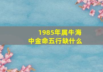 1985年属牛海中金命五行缺什么