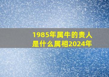 1985年属牛的贵人是什么属相2024年