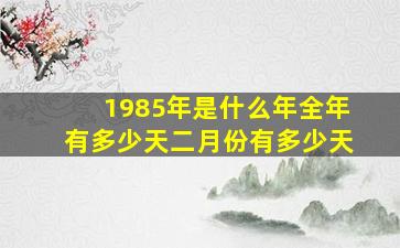 1985年是什么年全年有多少天二月份有多少天