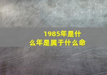 1985年是什么年是属于什么命