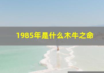 1985年是什么木牛之命