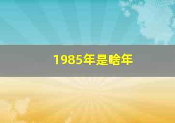 1985年是啥年