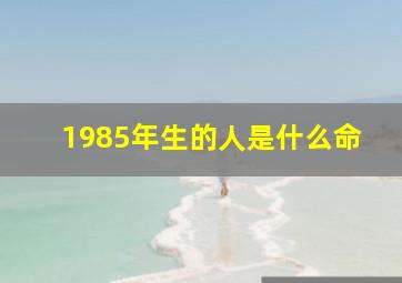 1985年生的人是什么命