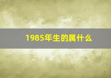 1985年生的属什么