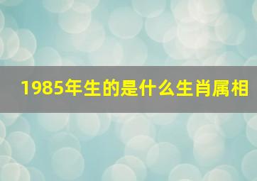 1985年生的是什么生肖属相