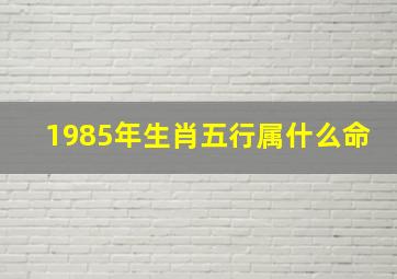 1985年生肖五行属什么命