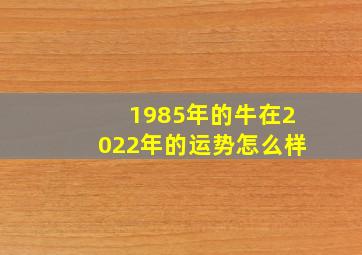 1985年的牛在2022年的运势怎么样