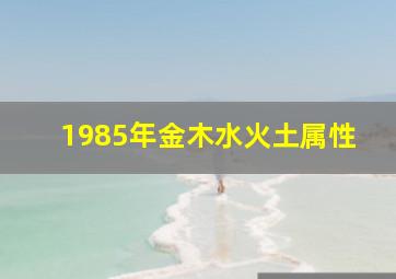 1985年金木水火土属性