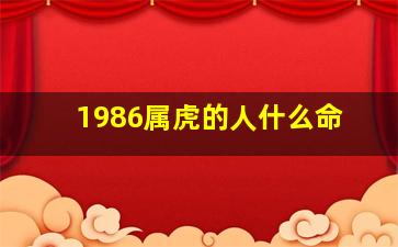 1986属虎的人什么命