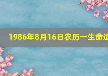 1986年8月16日农历一生命运