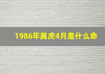 1986年属虎4月是什么命