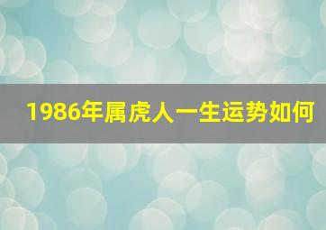 1986年属虎人一生运势如何