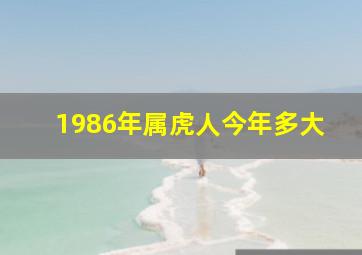 1986年属虎人今年多大