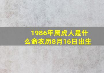 1986年属虎人是什么命农历8月16日出生