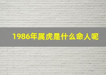 1986年属虎是什么命人呢