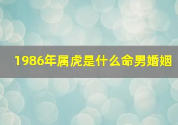 1986年属虎是什么命男婚姻