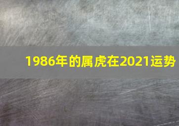 1986年的属虎在2021运势