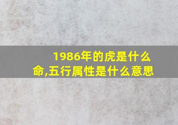 1986年的虎是什么命,五行属性是什么意思