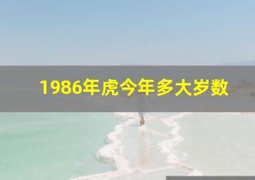 1986年虎今年多大岁数