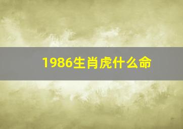 1986生肖虎什么命