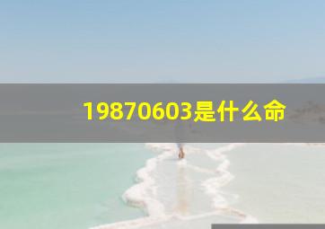 19870603是什么命