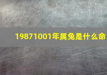 19871001年属兔是什么命