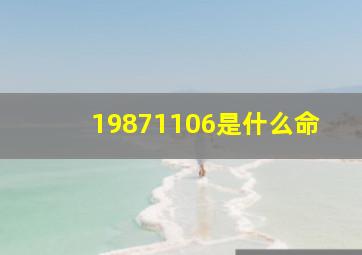 19871106是什么命