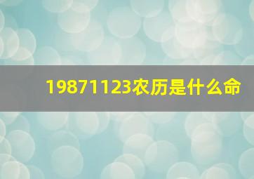 19871123农历是什么命